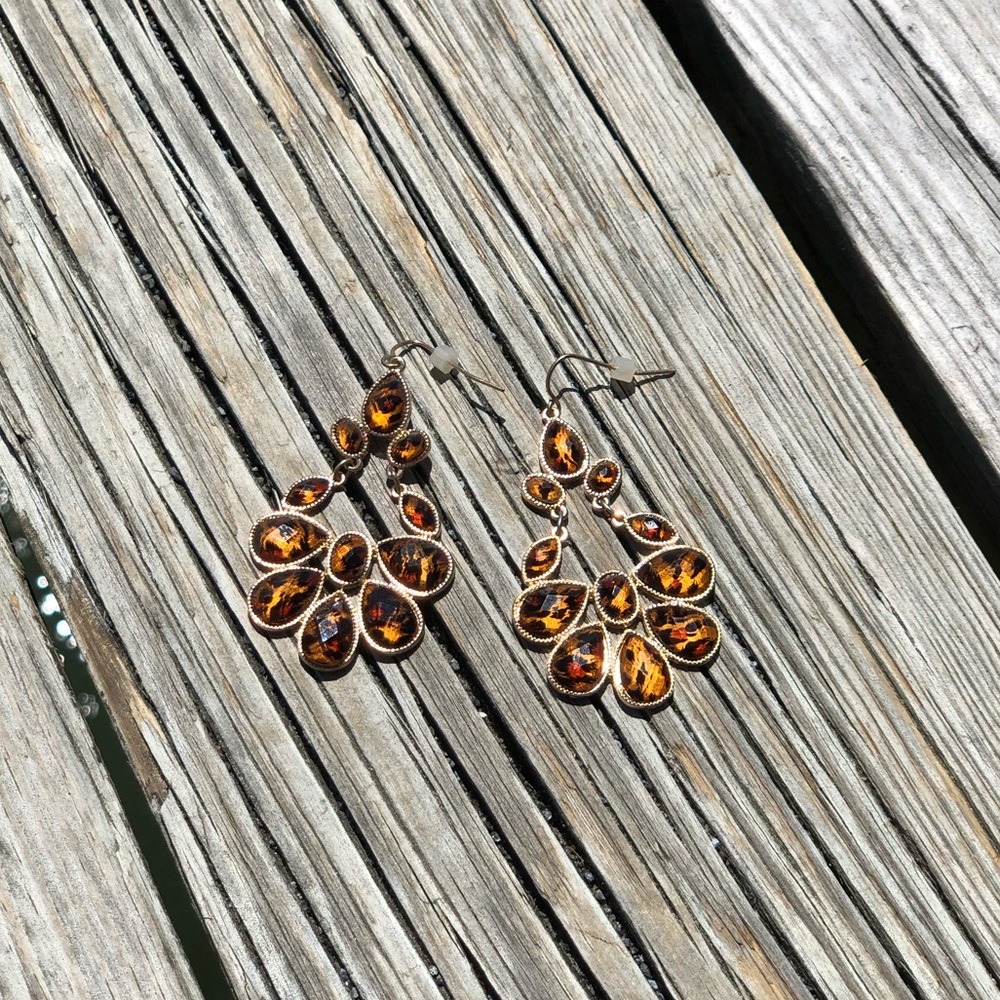 ⭐️2/15⭐️ Chandelier Earrings with Leopard Print